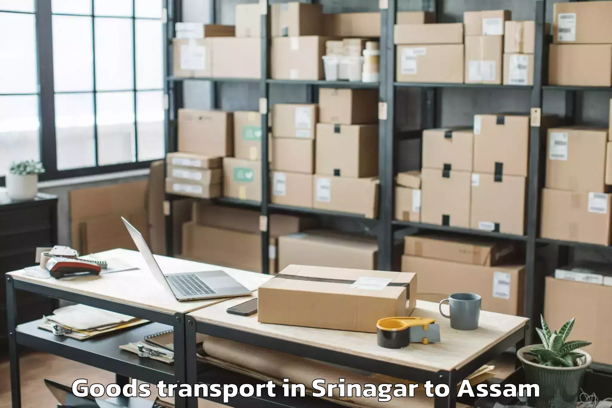 Top Srinagar to Rangapara Goods Transport Available